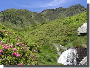 montagne pyrénées