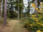 la nature en Bretagne